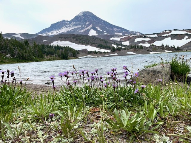 Camp Lake