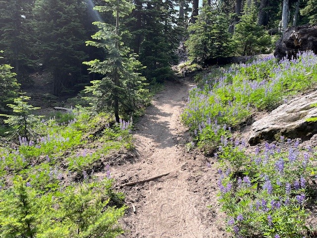 Cooper Spur